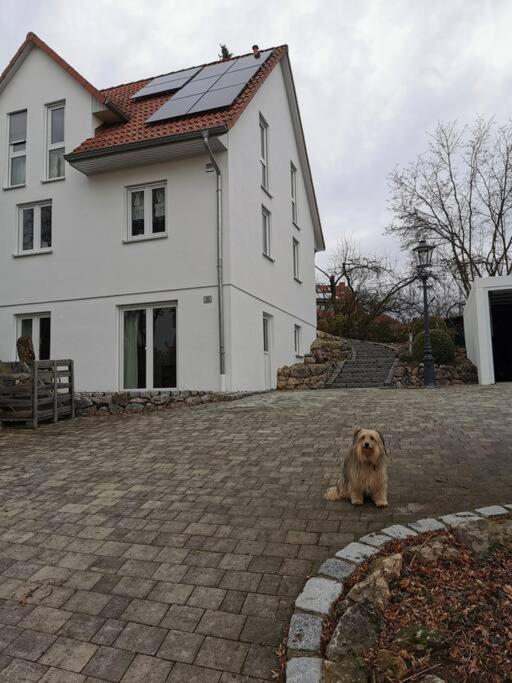 RAuszeit Apartamento Nittendorf Exterior foto